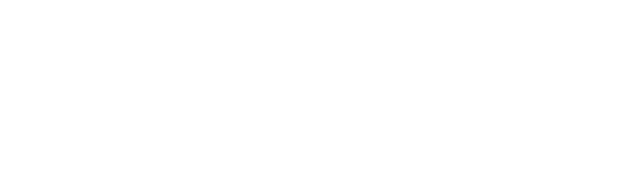 MPA LOGO WHITE.png